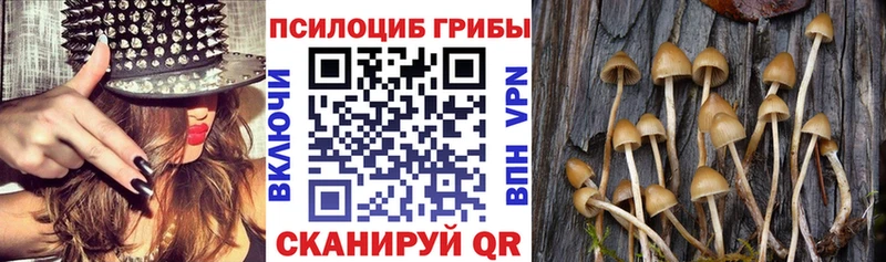 Псилоцибиновые грибы GOLDEN TEACHER Меленки