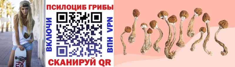Купить  Меленки  Псилоцибиновые грибы ЛСД 